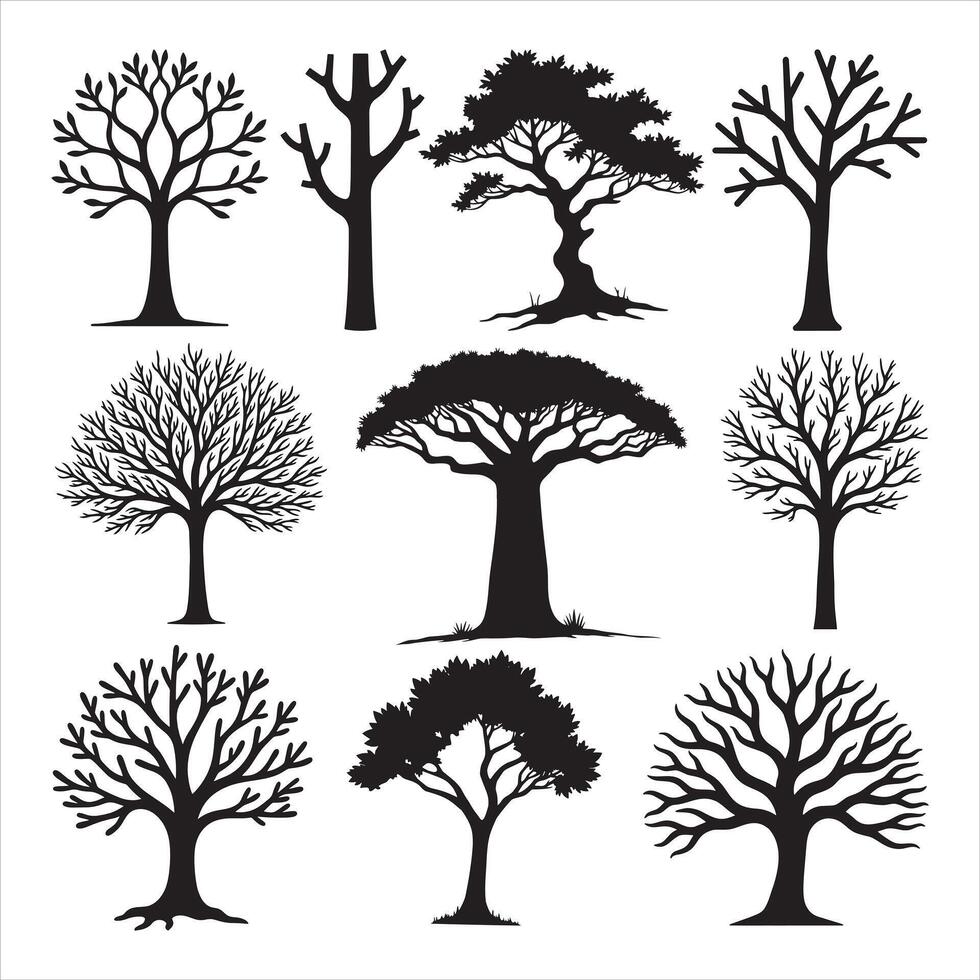 Set of Tree Silhouettes with Detailed Roots and Leaf vector