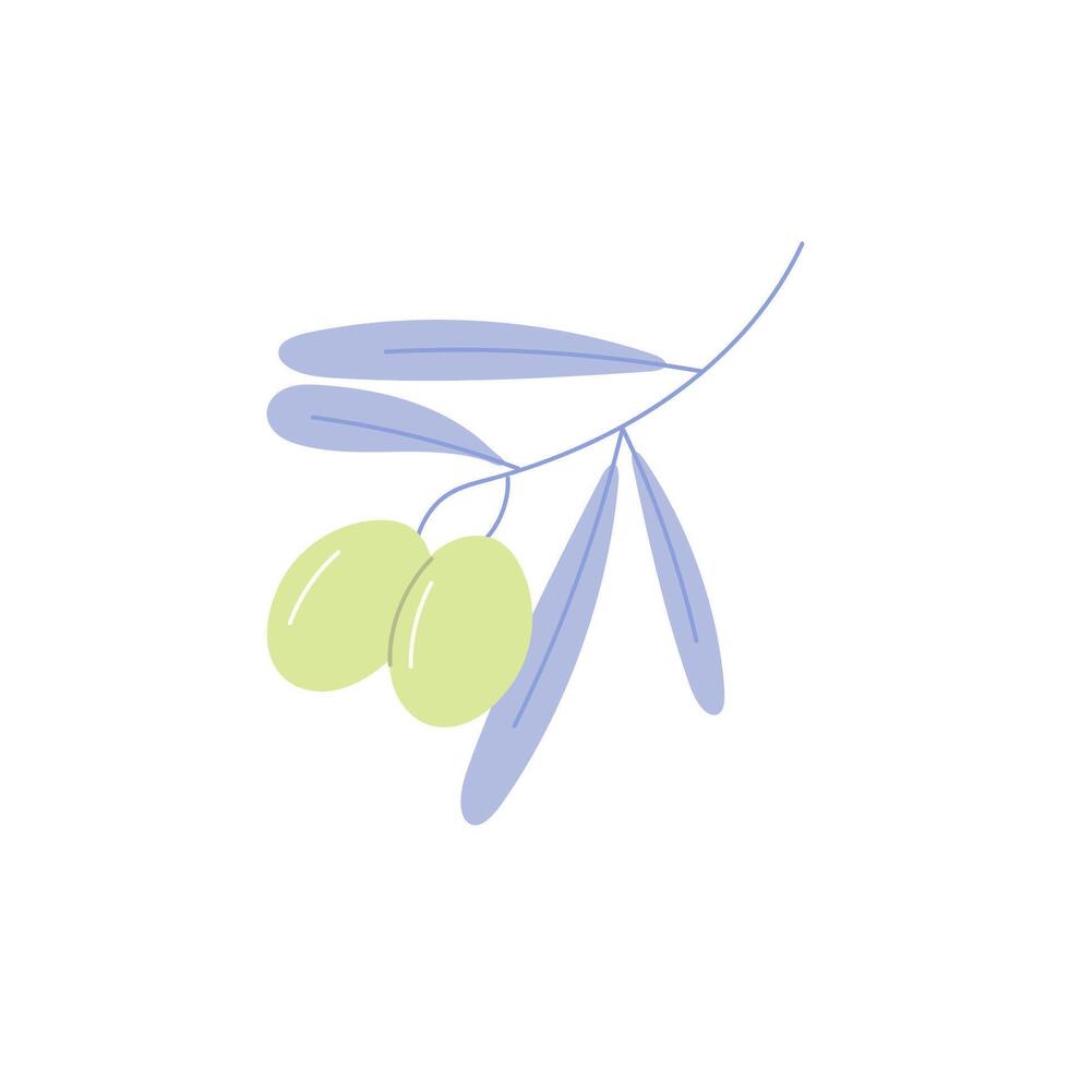 Simple olive tree branch. Isolated illustration. vector
