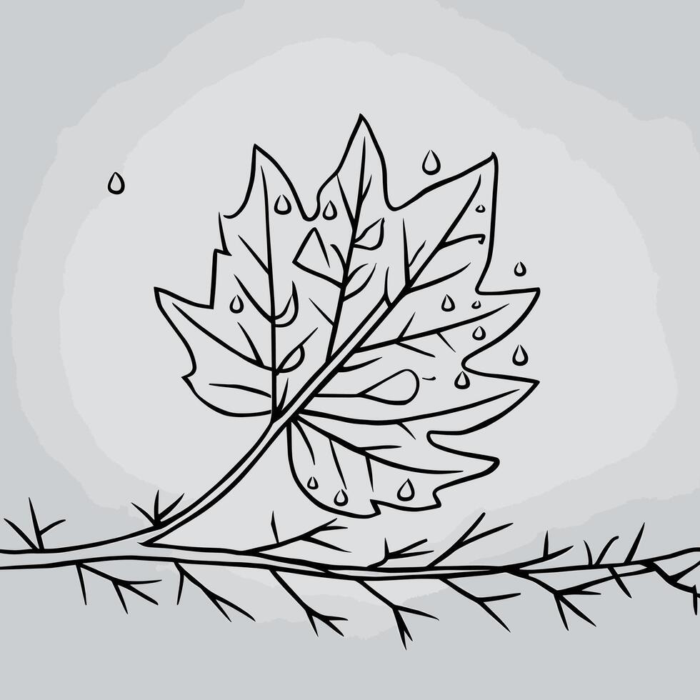 A drawing of a leaf with rain drops on it vector