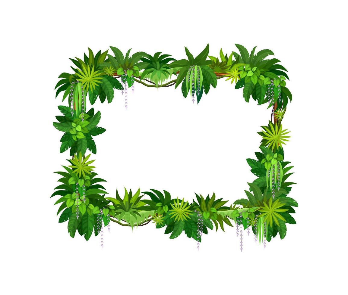 Cartoon jungle tropical liana frame, border vector