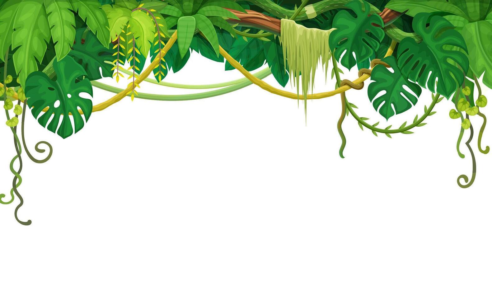 Tropical jungle rain forest liana vines background vector