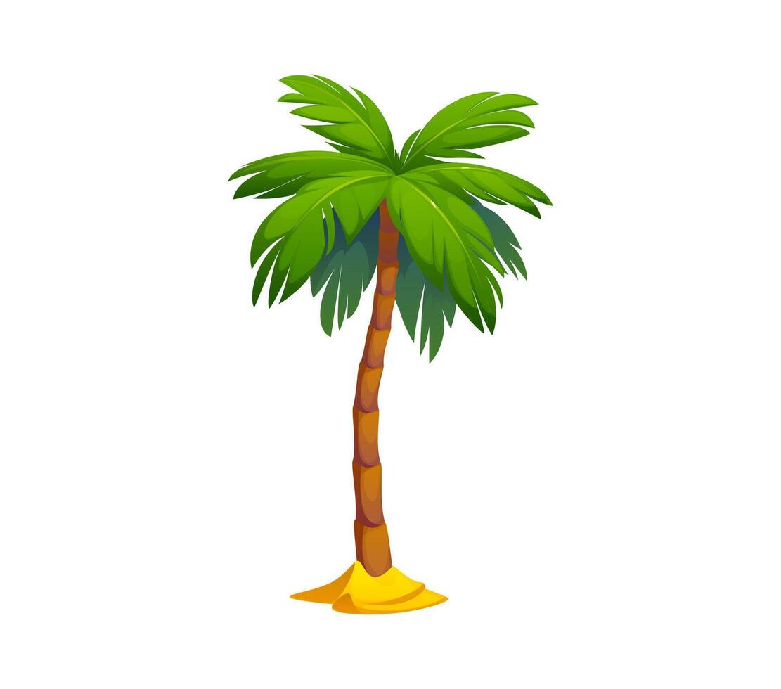 Cartoon palm or jungle tree from paradise beach vector