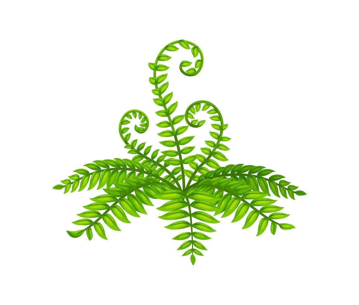 Green fern, tropical plant with intricate leaves vector