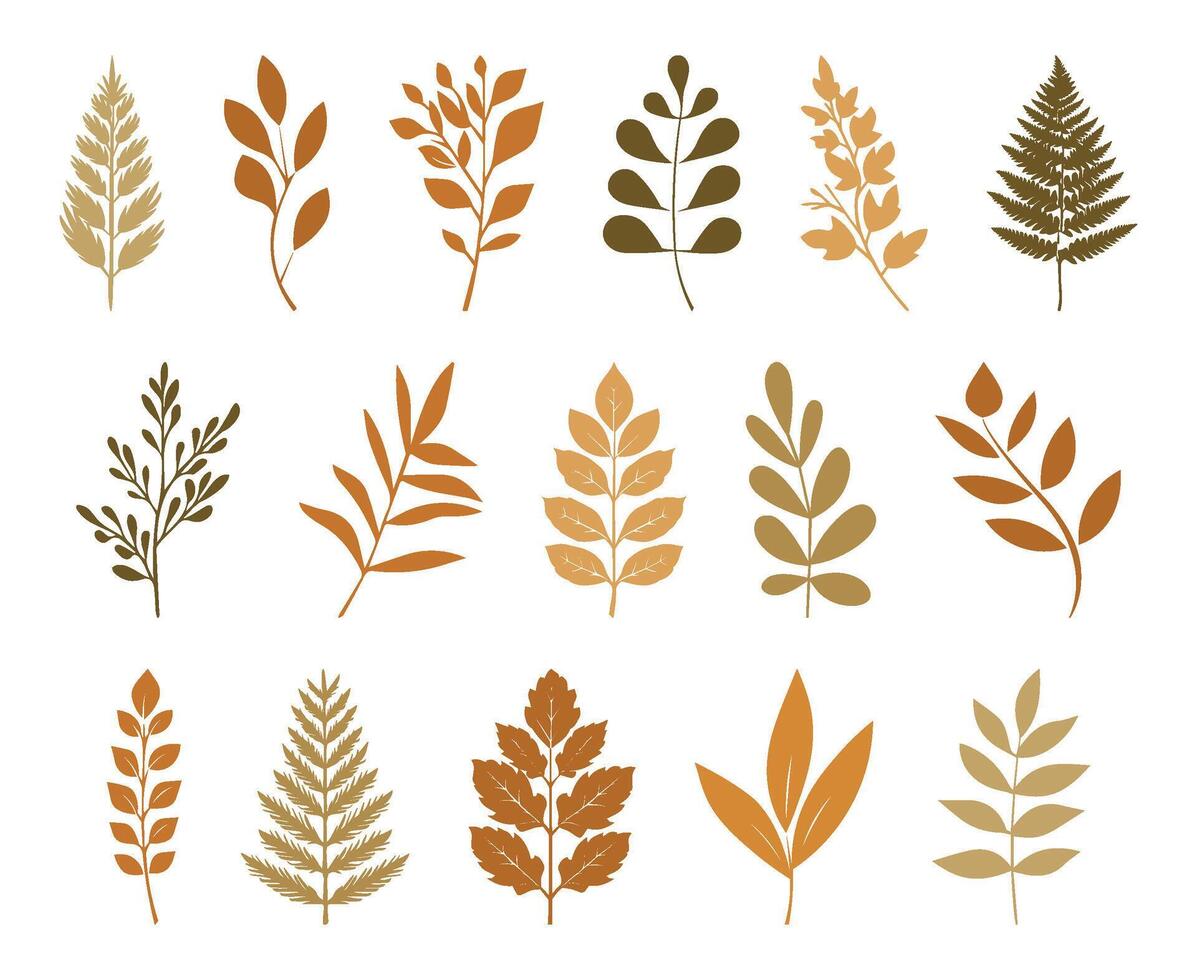 Autumn leaves collection, set of leaves isolated on transparent background. Hand drawn autumn collection with seasonal plants and twigs. A set of silhouettes of autumn leaves, branches in warm colors vector