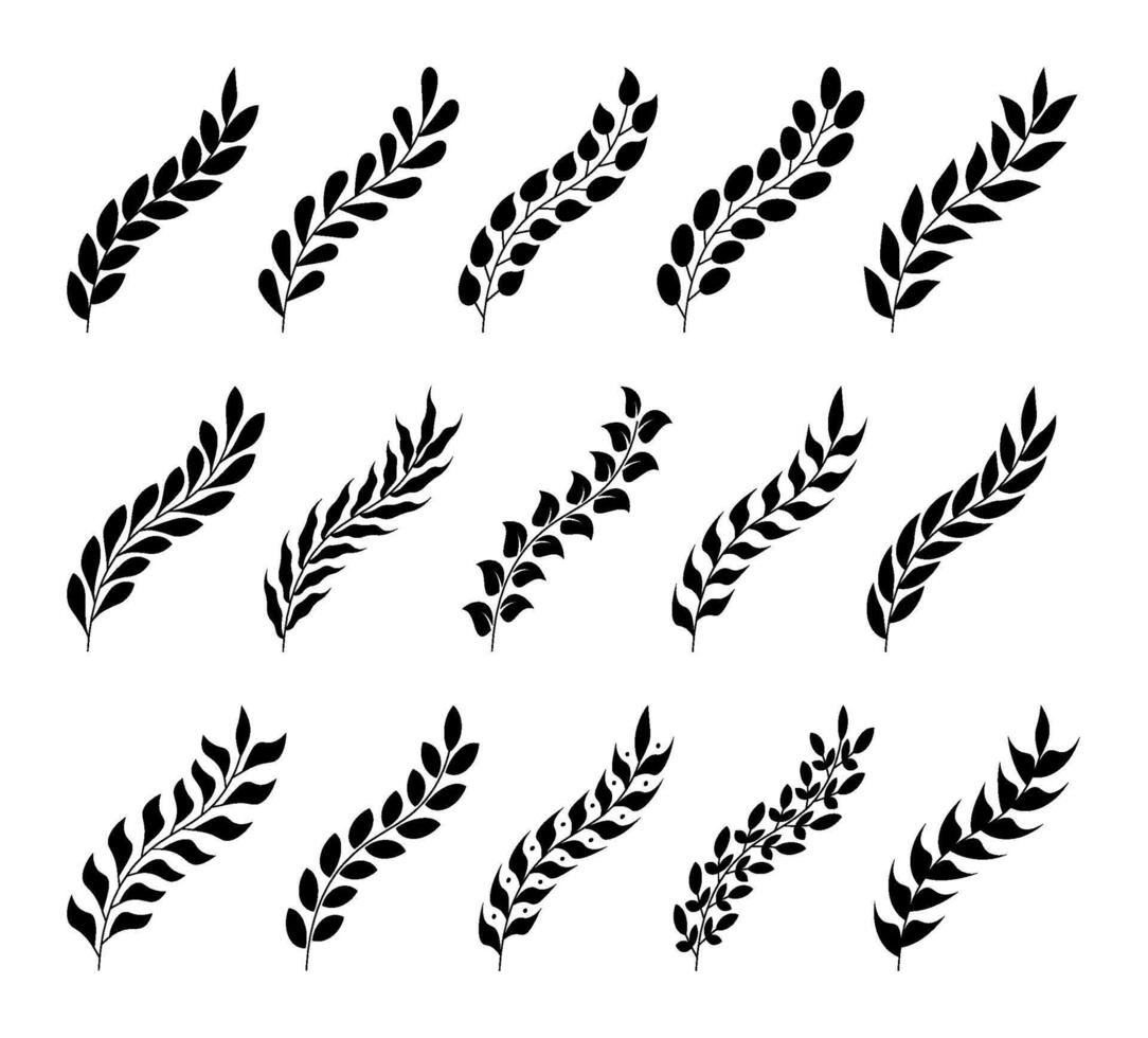 Decorative plant branch on transparent background. Decorative hand drawn leaf branches and spikelet, botanical floral element, herb decor, twig with leaves, flat ornament silhouette. For winner, award vector