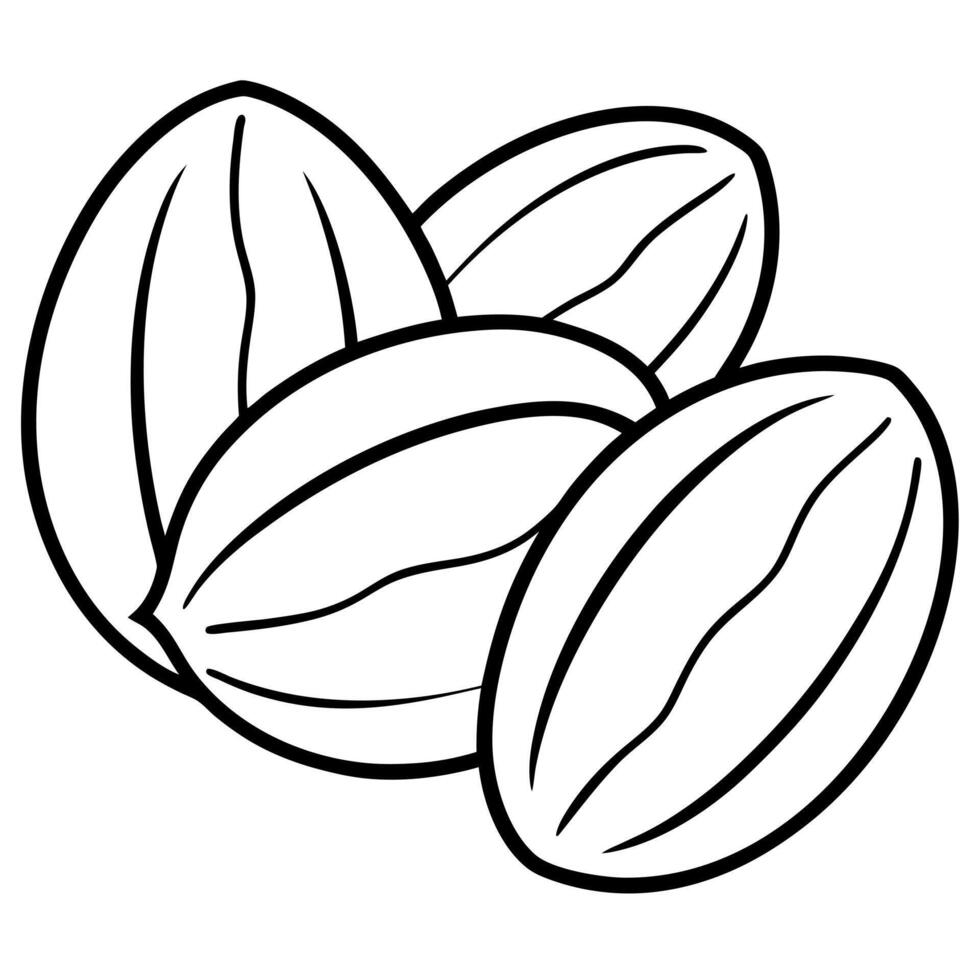 nueces, illustration line art vector