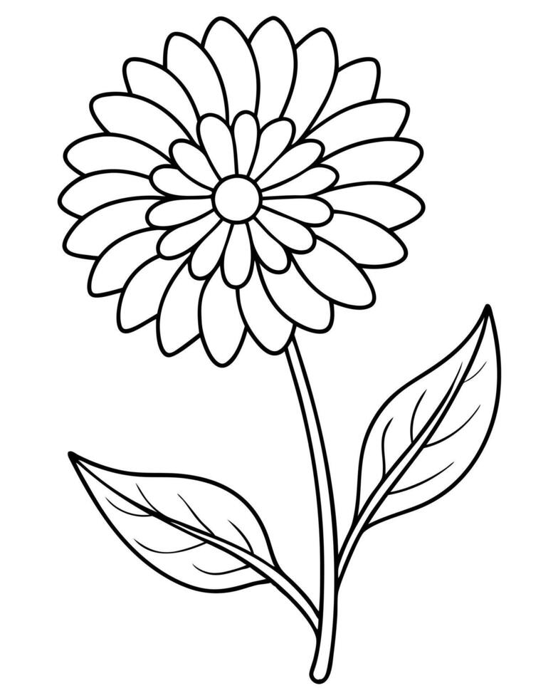 a coloring page of an calendula with no color just black lines, illustration line art vector