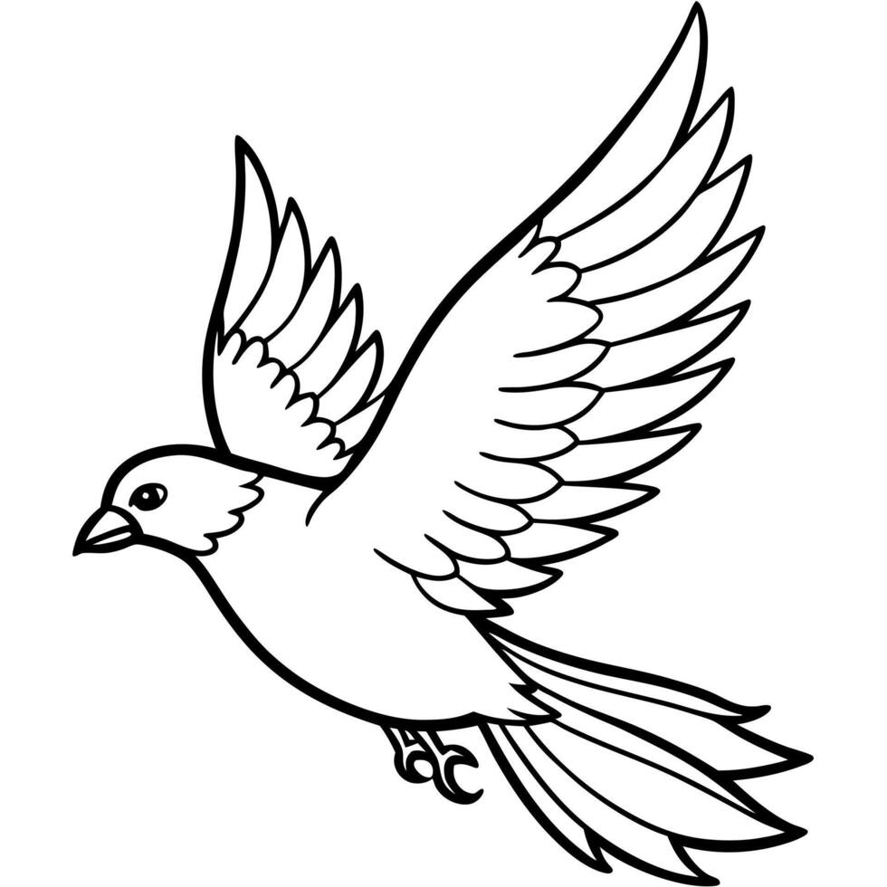 animal flying white bird, illustration line art vector