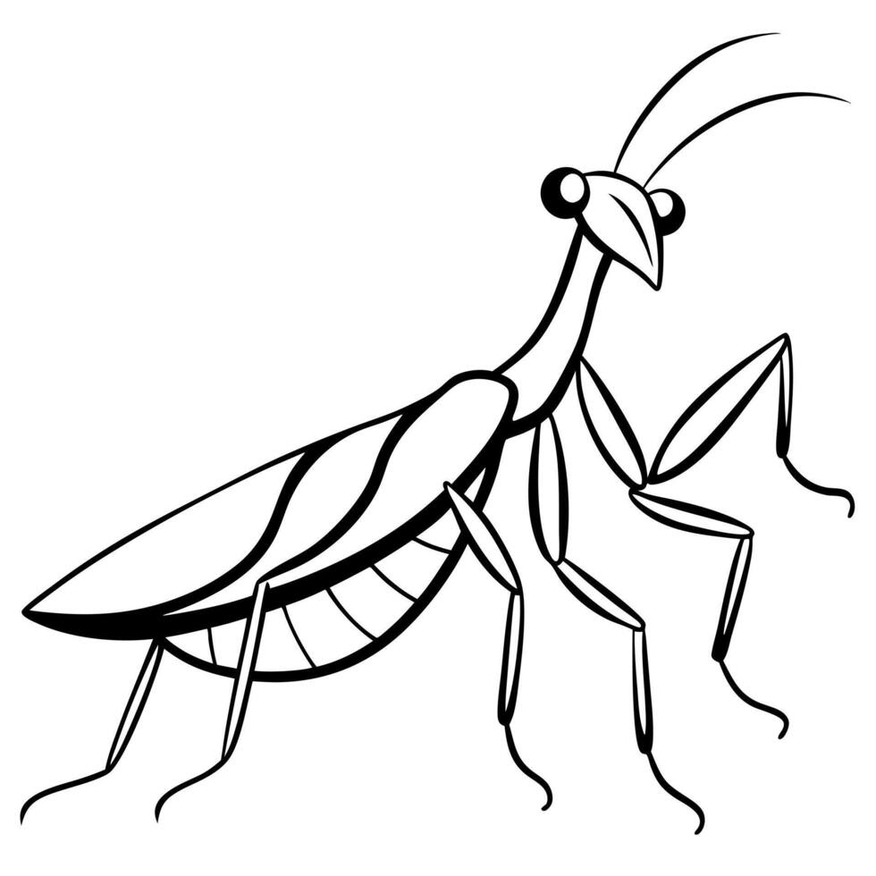 mantis animal, different style art, solid white color background, illustration line art vector