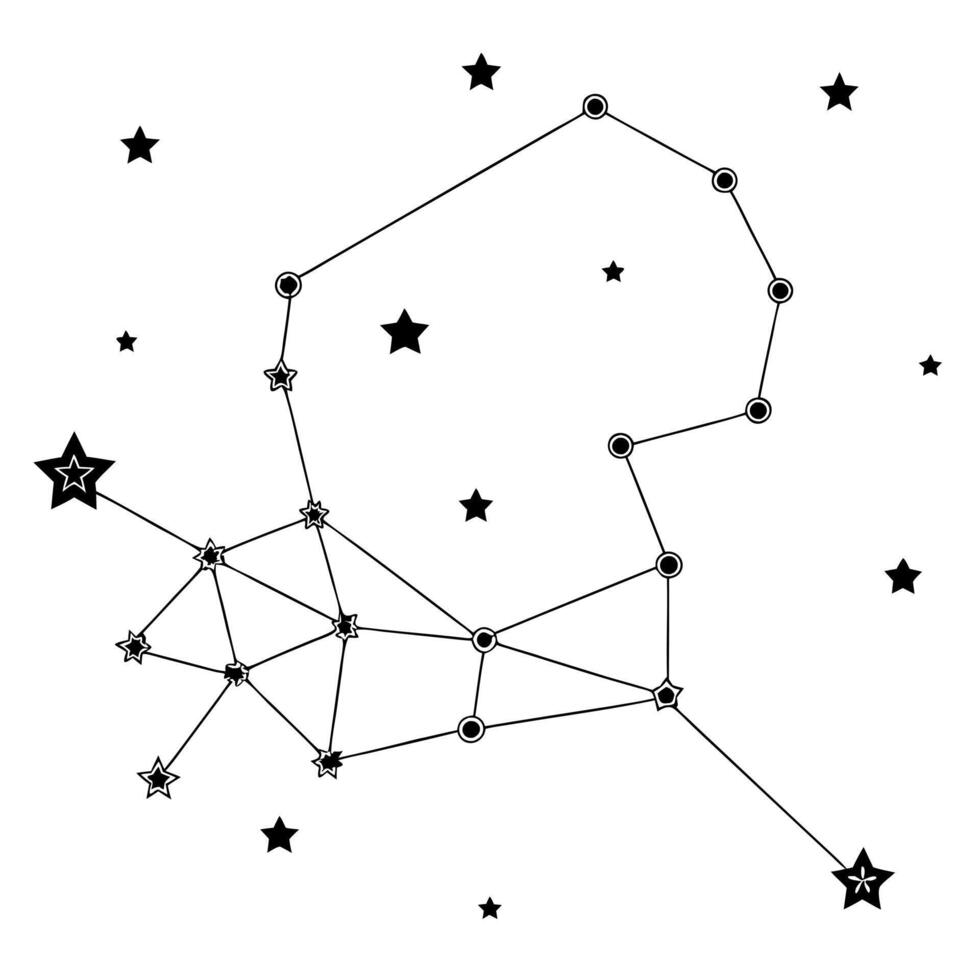constellation, illustration line art vector