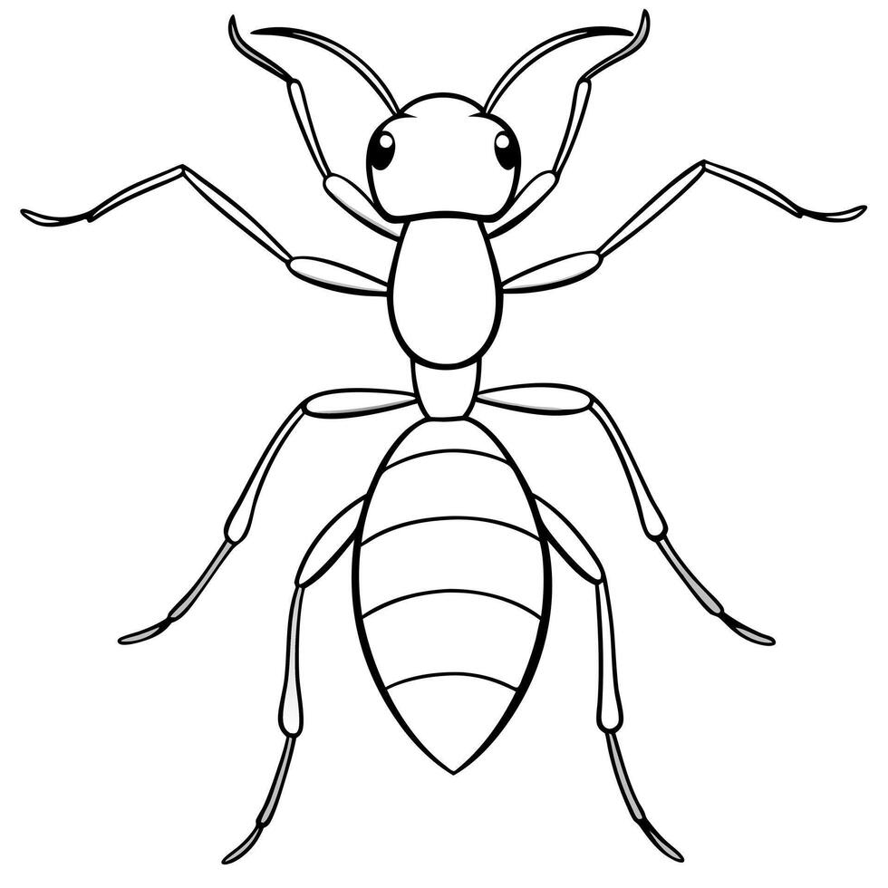 ant, illustration line art vector