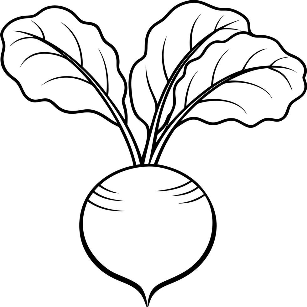 beet, illustration line art vector