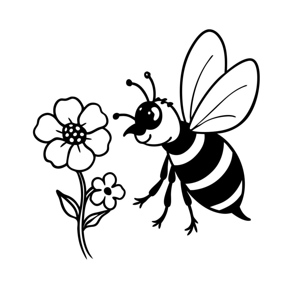 a bee is extracting honey from a phlox flower, illustration line art vector