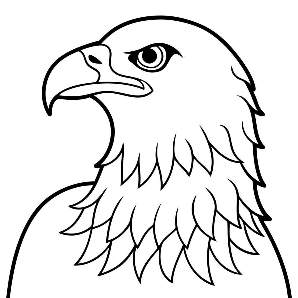bald eagle, illustration line art vector