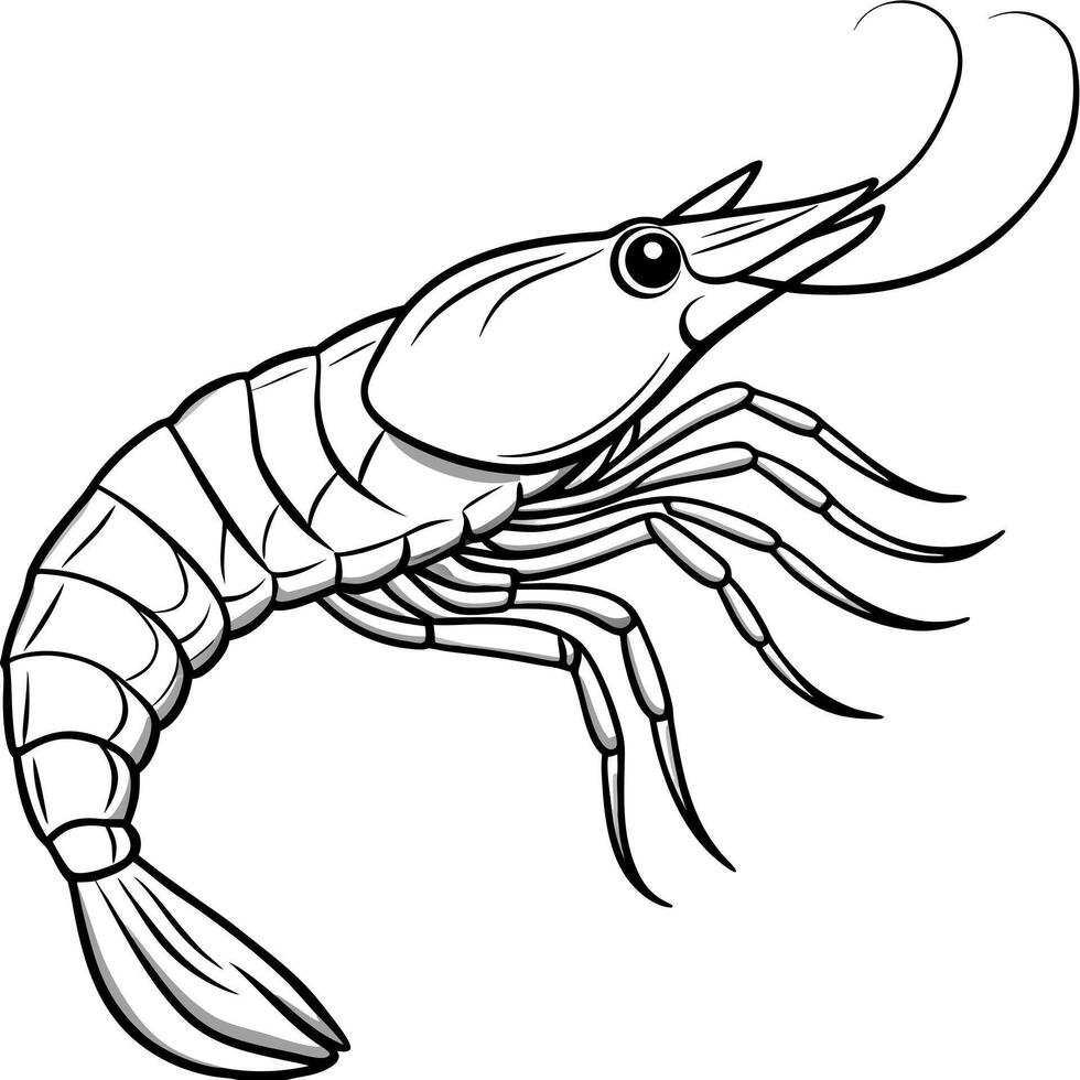 prawn brush stroke line art, white background, illustration line art vector