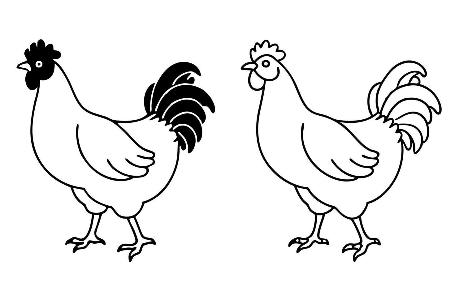 a chicken 4 different linaer white background, illustration line art vector