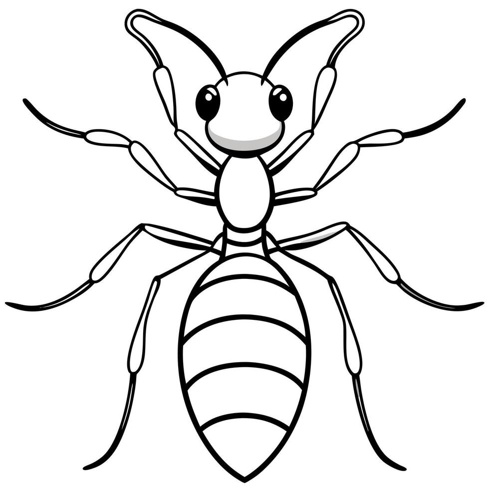 ant, illustration line art vector