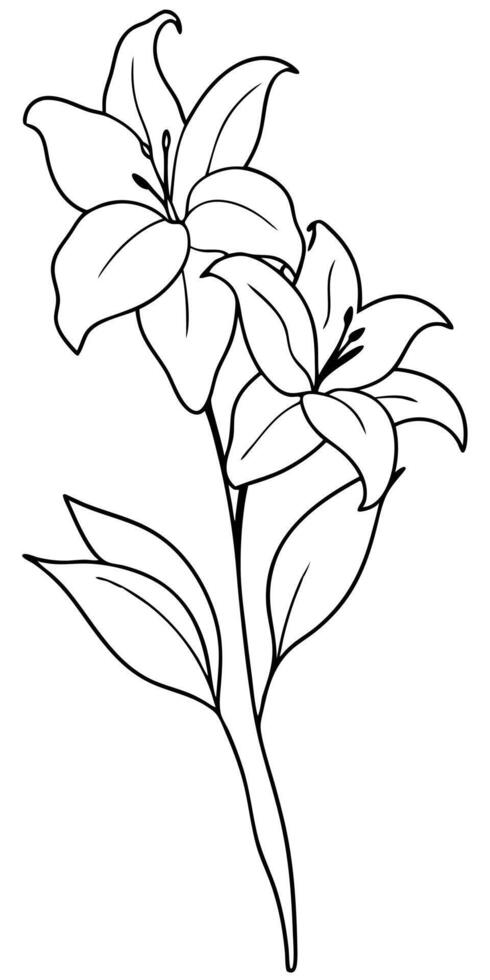 lily line drawing black and white floral bouquets flower coloring page floral line art fine line vector
