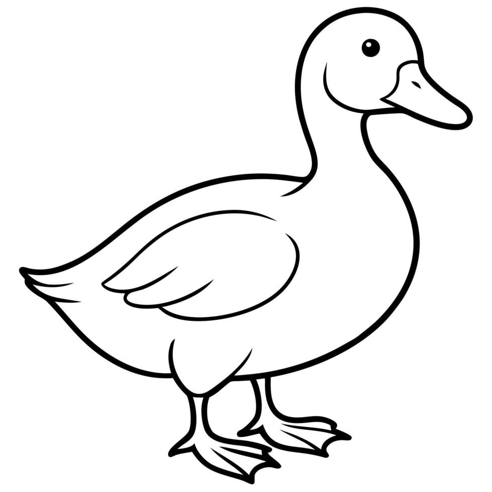 a duck, illustration line art vector
