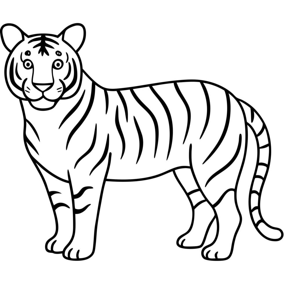tiger, illustration line art vector