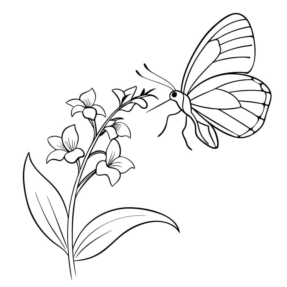 a butterfly is extracting nectar from a veronica flower, illustration line art vector