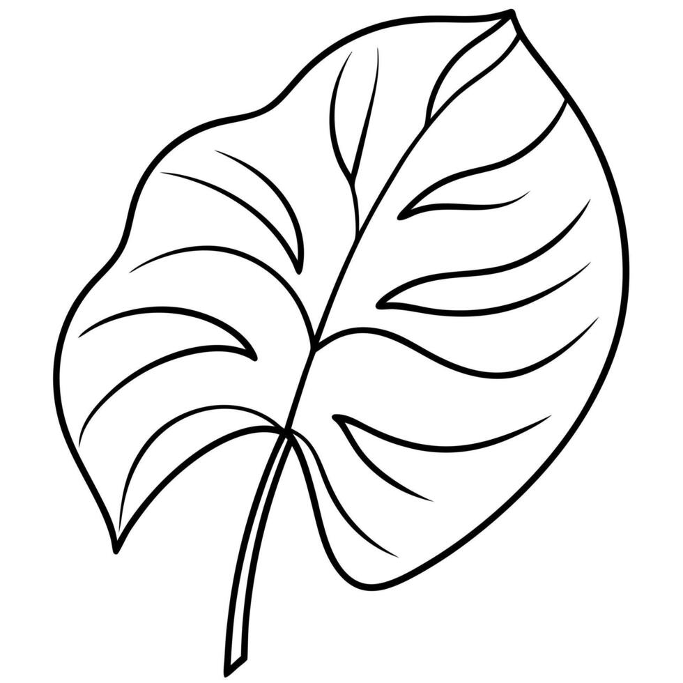 hand drawn collection of tropical leaves, illustration line art vector
