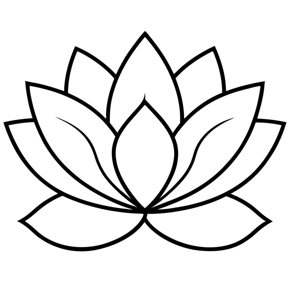 a lotus on a white background, illustration line art vector
