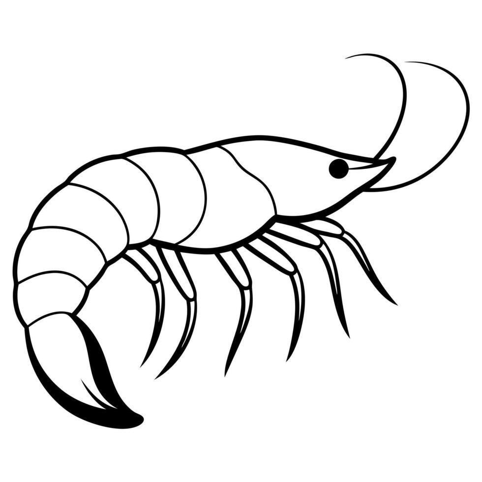 shrimp silhuaette design with white background, illustration line art vector