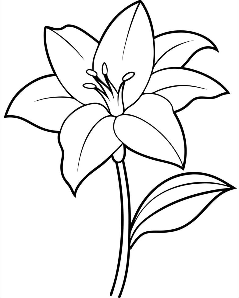 a coloring page of an amaryllis with no color just black lines, illustration line art vector