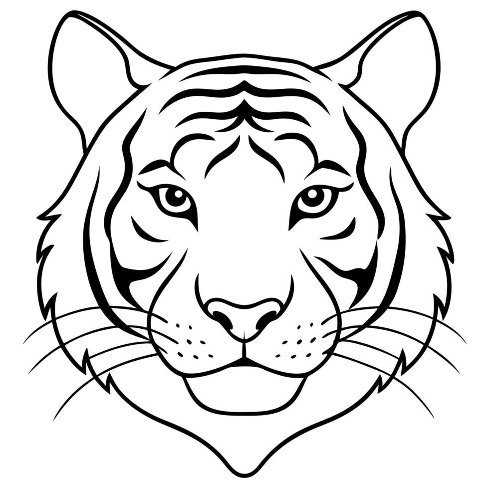 tiger head, illustration line art vector