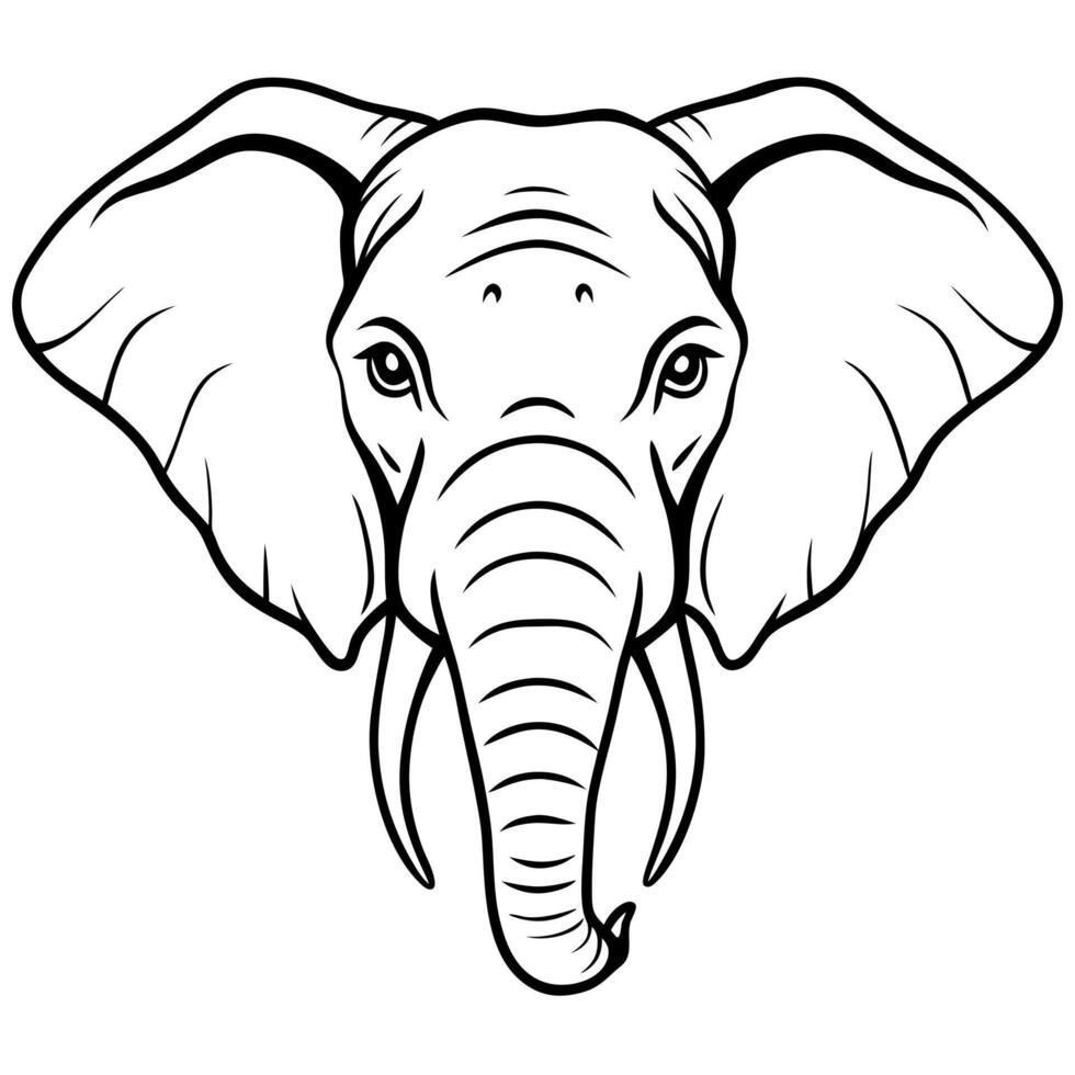 elephant face, illustration line art vector