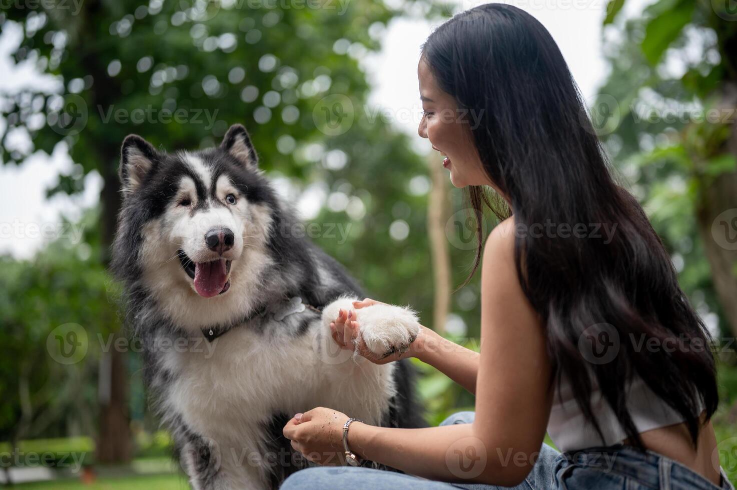 A happy woman is training her dog to give a handshake, enjoying a fun moment together in a park. photo