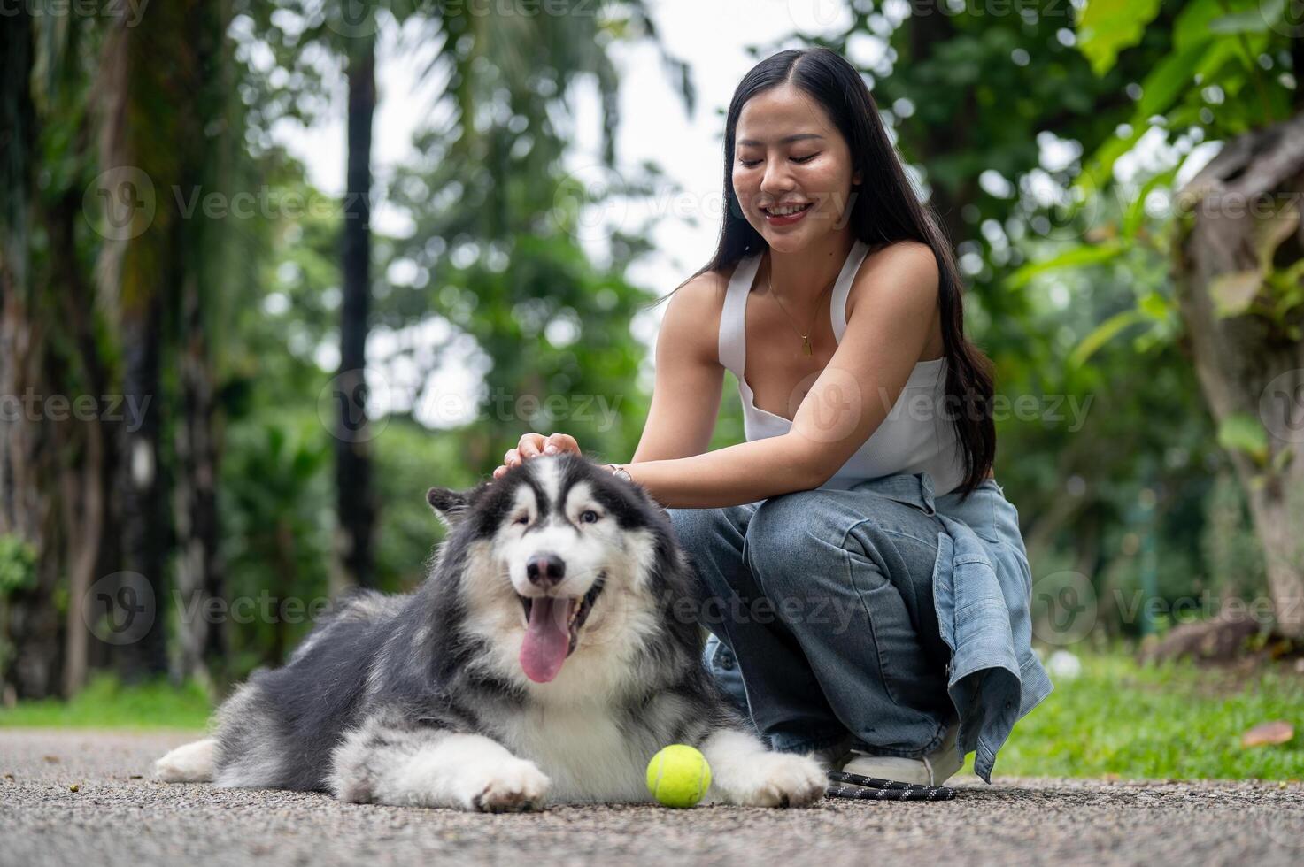 A beautiful Siberian husky is laying on a street in a park with a tennis ball and its owner nearby. photo