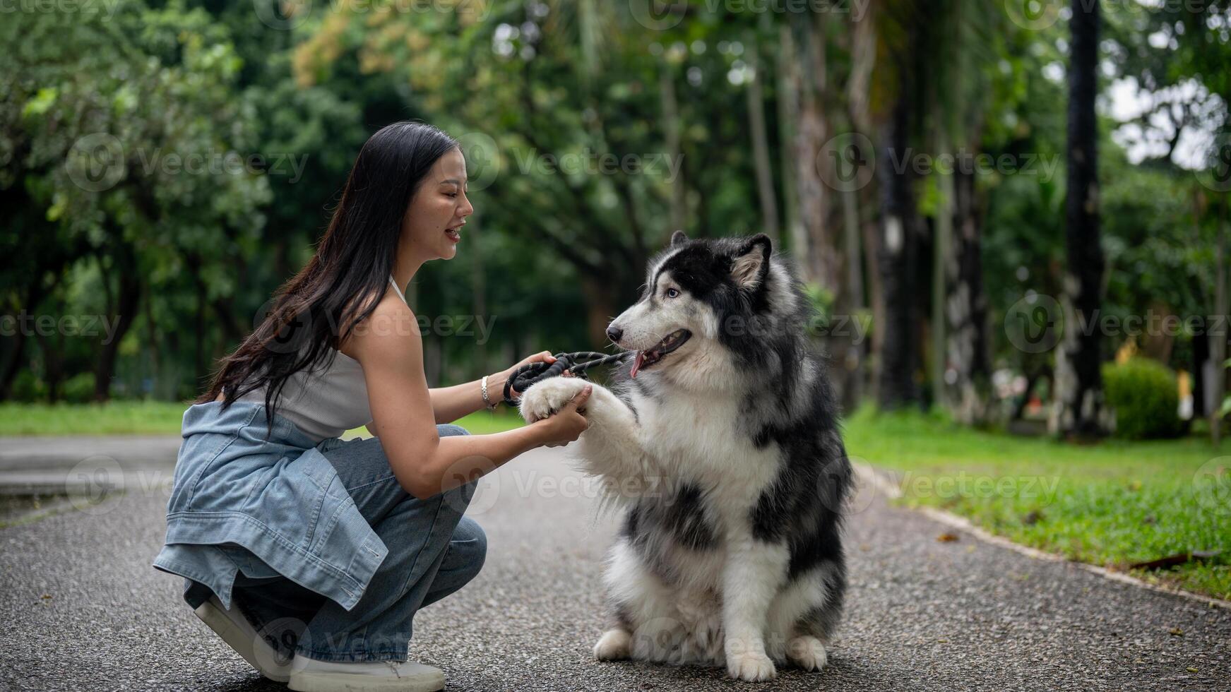 An Asian female dog owner training her dog while giving him a walk in a green public park, asking for handshake photo