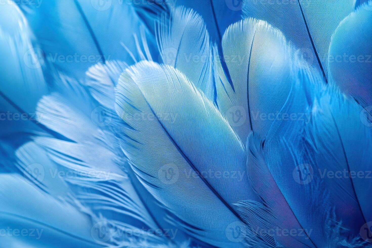 Close-up of vibrant blue feathers showcasing intricate textures and patterns in natural light photo
