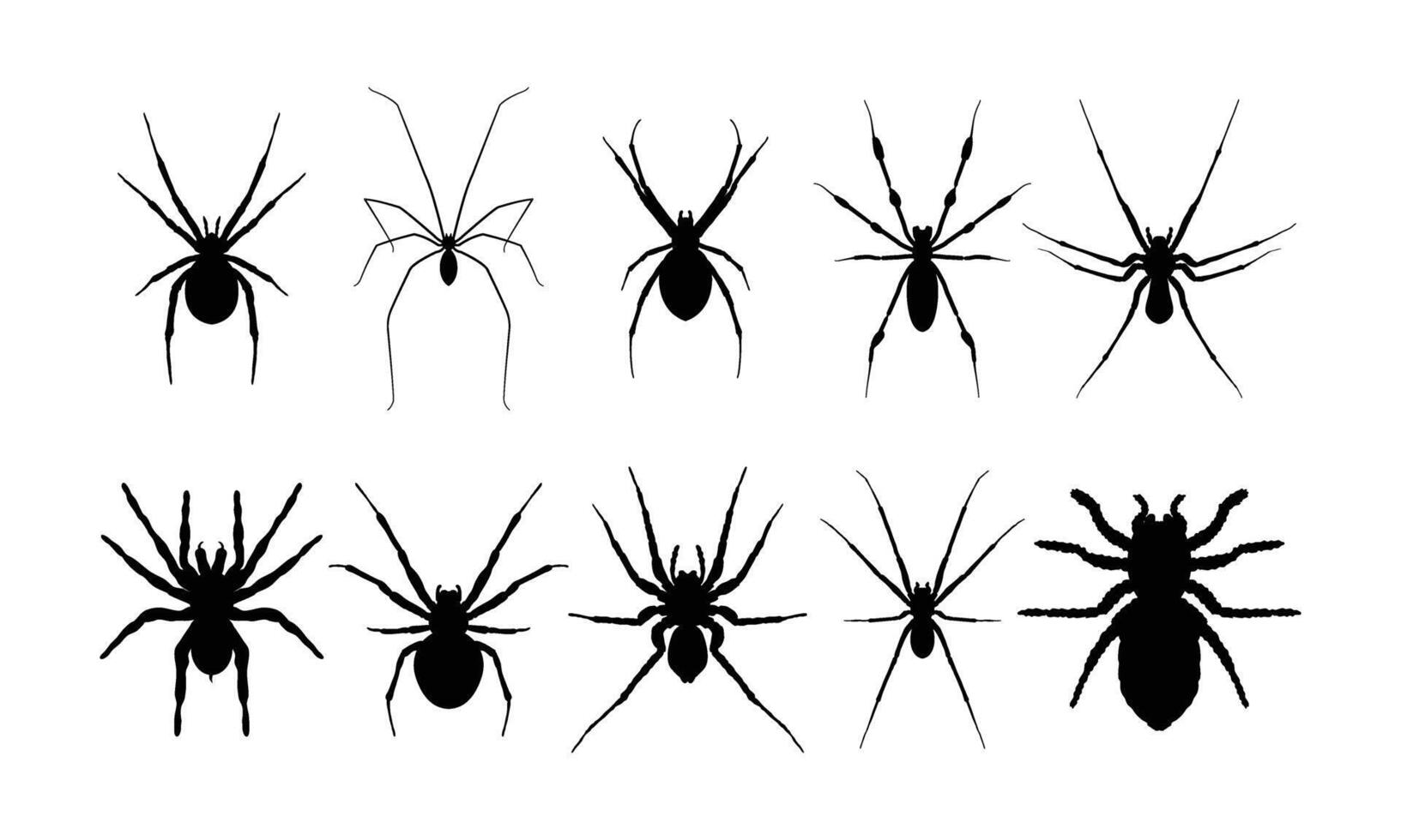 Set of Spiders silhouette vector