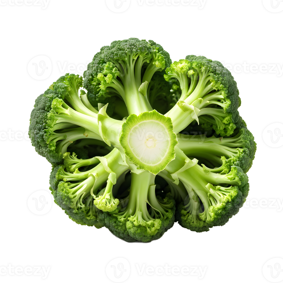 Lush Green Broccoli Isolated png