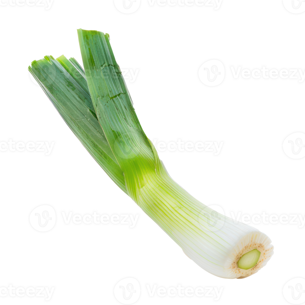 A green onion is shown on a black background png