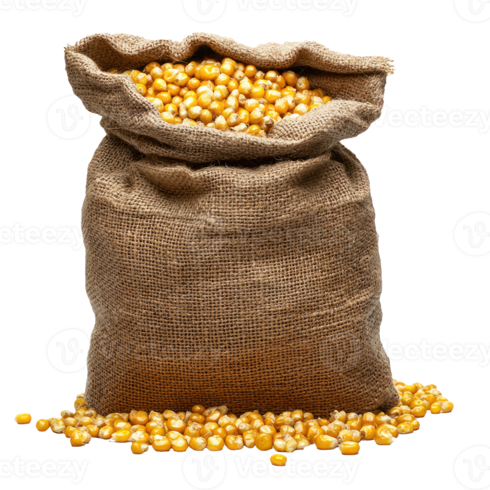 Corns in sack bag isolate on transparent background png