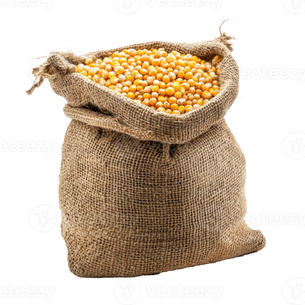 Corns in sack bag isolate on transparent background png