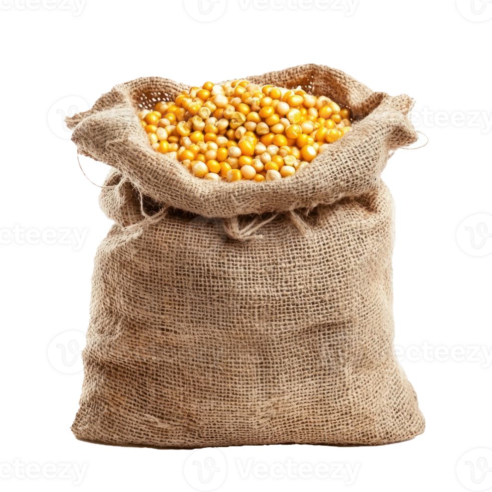 Corns in sack bag isolate on transparent background png