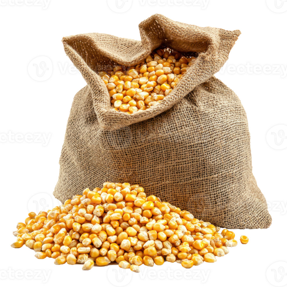 Corn Spills Out of a Sack front view isolate on transparent background png