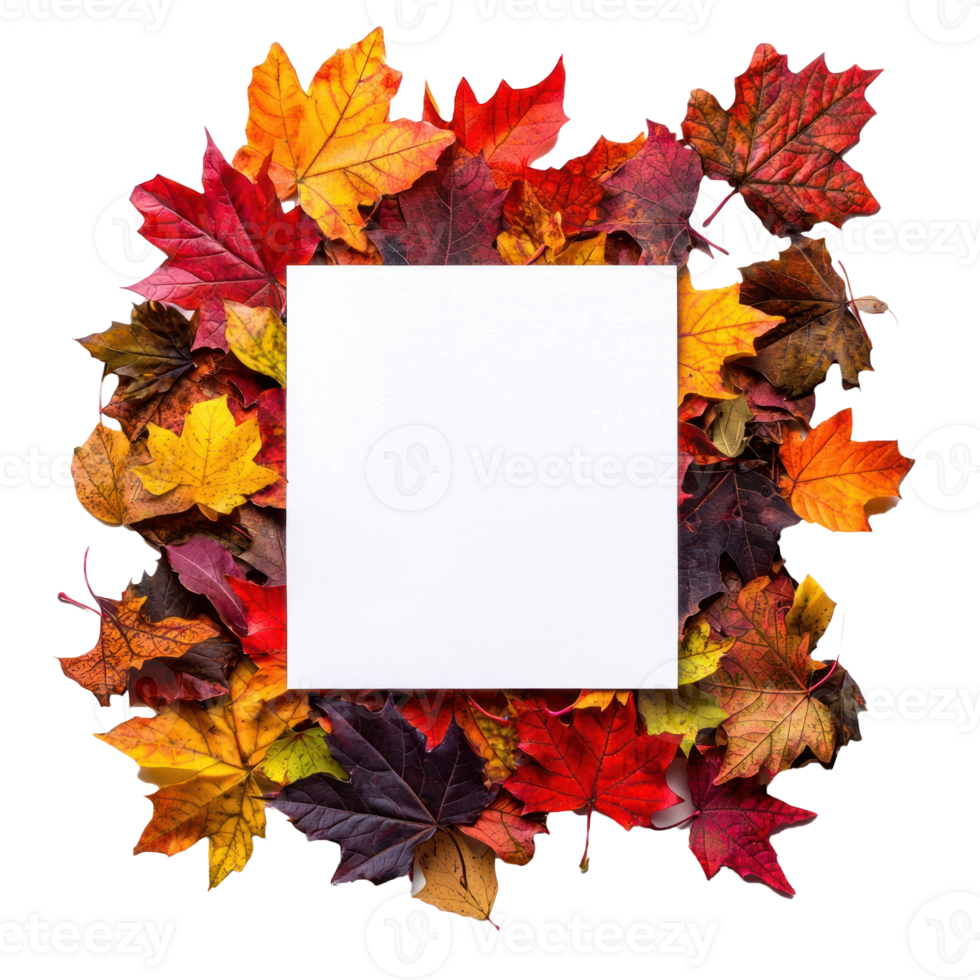 White blank paper on pile of colorful autumn leaves top view isolate on transparent background png