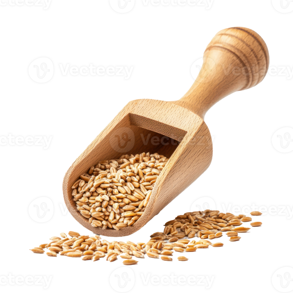 Wheat and wooden scoop front view isolate on transparent background png