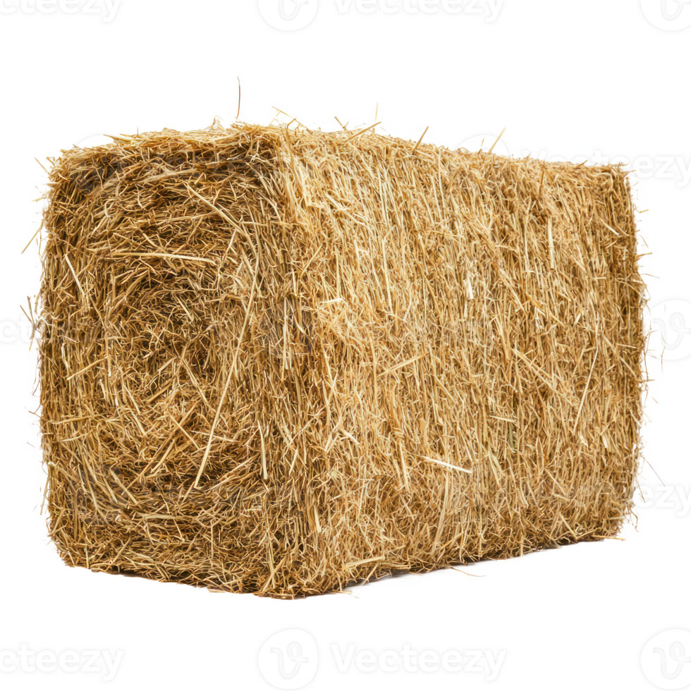 Rectangle hay bale isolate on transparent background png