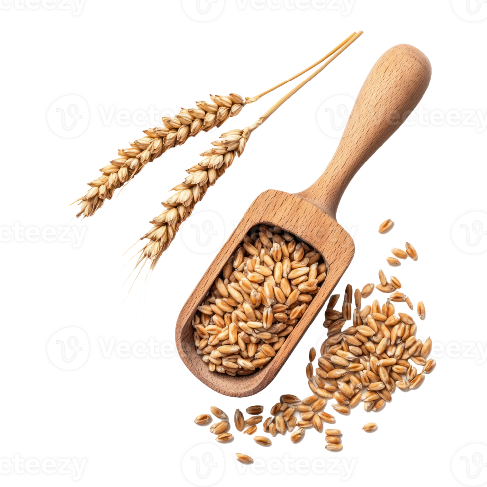 Wheat and wooden scoop top view isolate on transparent background png