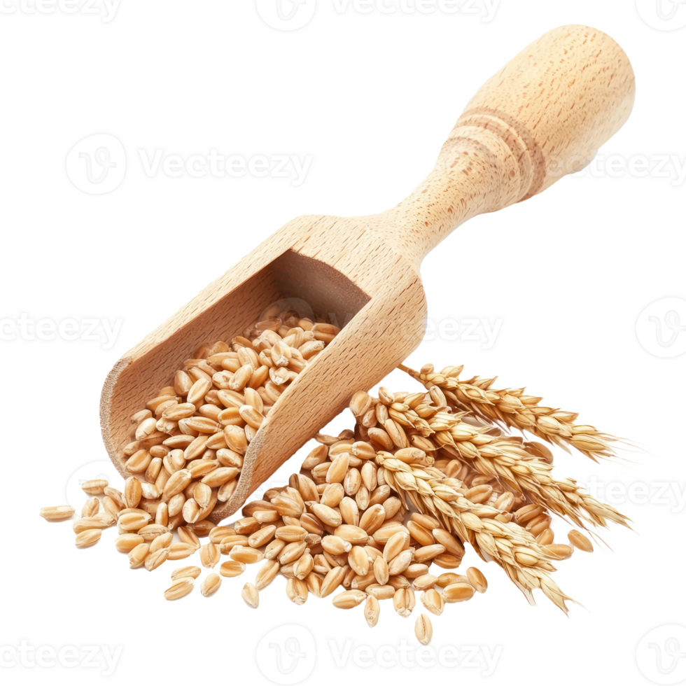 Wheat and wooden scoop isolate on transparent background png