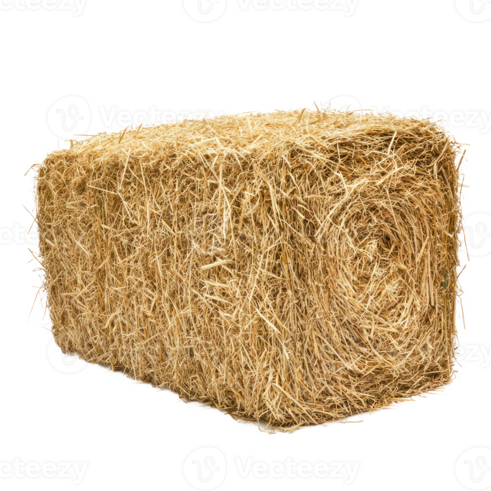 Rectangle hay bale isolate on transparent background png