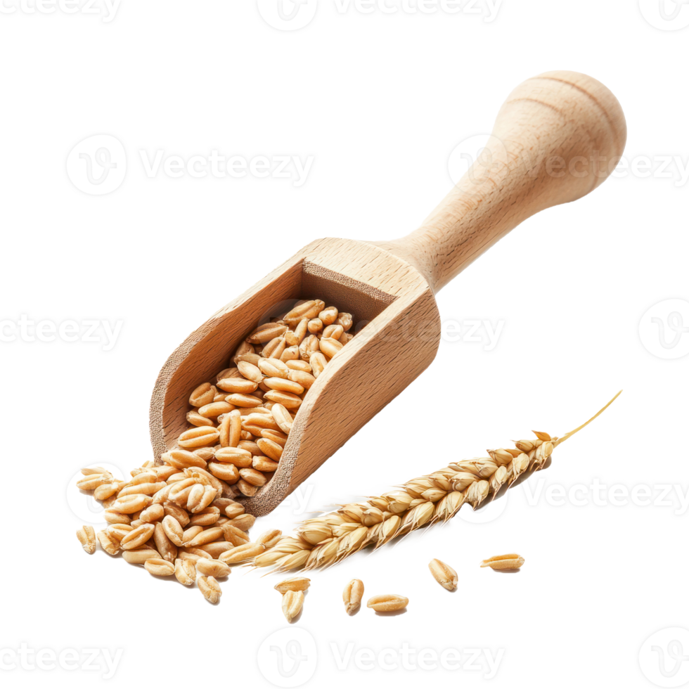 Wheat and wooden scoop front view isolate on transparent background png