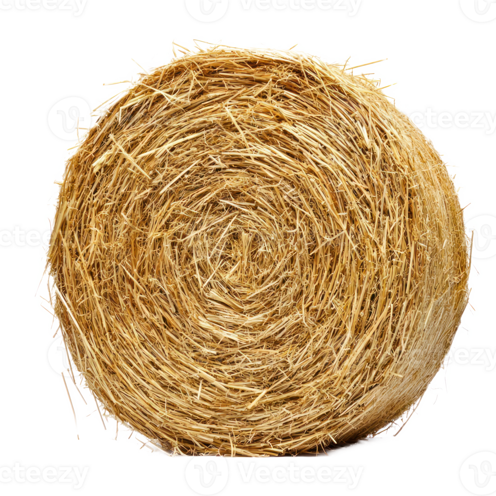 Round hay bale isolate on transparent background png